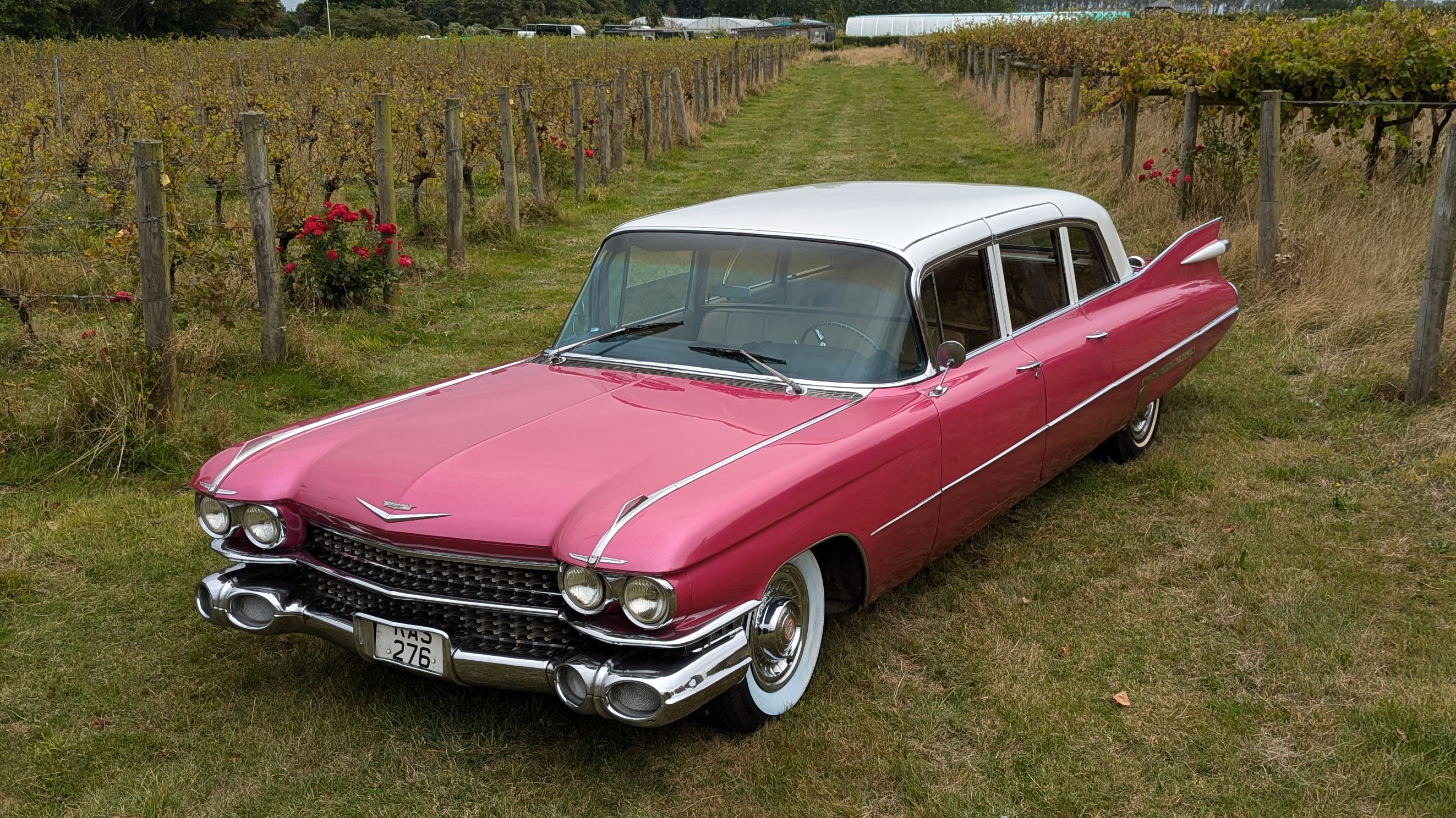 Pink Cadillac Series 75 Fleetwood limousine with white roof parked on grass field, classic American styling with chrome detailing.