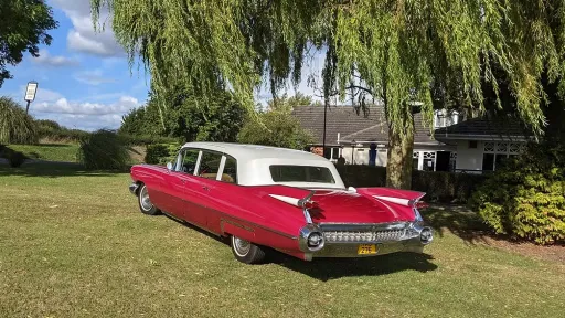 Rear view of pink Cadillac limousine parked on grass in park setting with trees and open green space.