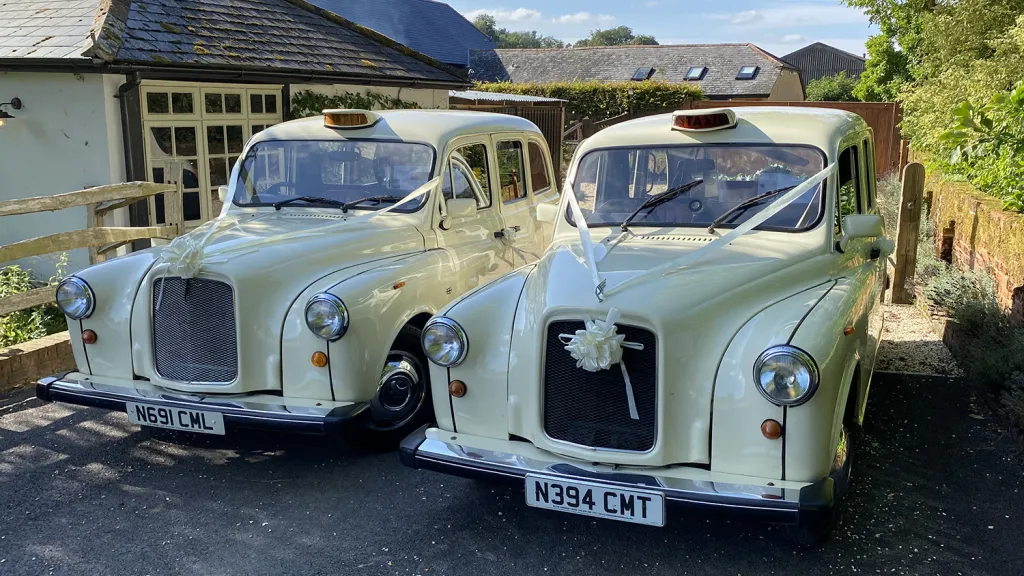 Two matching Old English White taxi cabs parked together with wedding ribbons and bows on the front grilles, positioned on a gravel driveway near a venue.