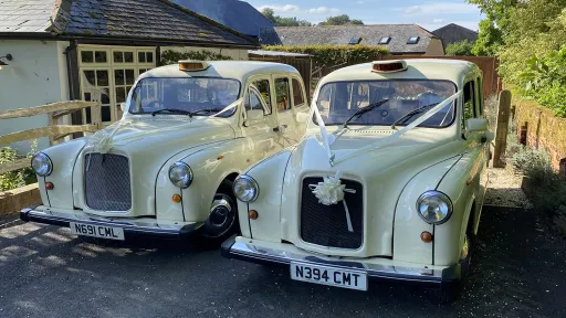 Two matching Old English White taxi cabs parked together with wedding ribbons and bows on the front grilles, positioned on a gravel driveway near a venue.