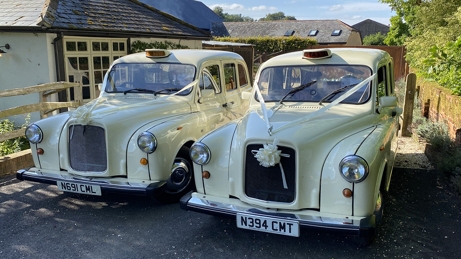 Two matching Old English White taxi cabs parked together with wedding ribbons and bows on the front grilles, positioned on a gravel driveway near a venue.