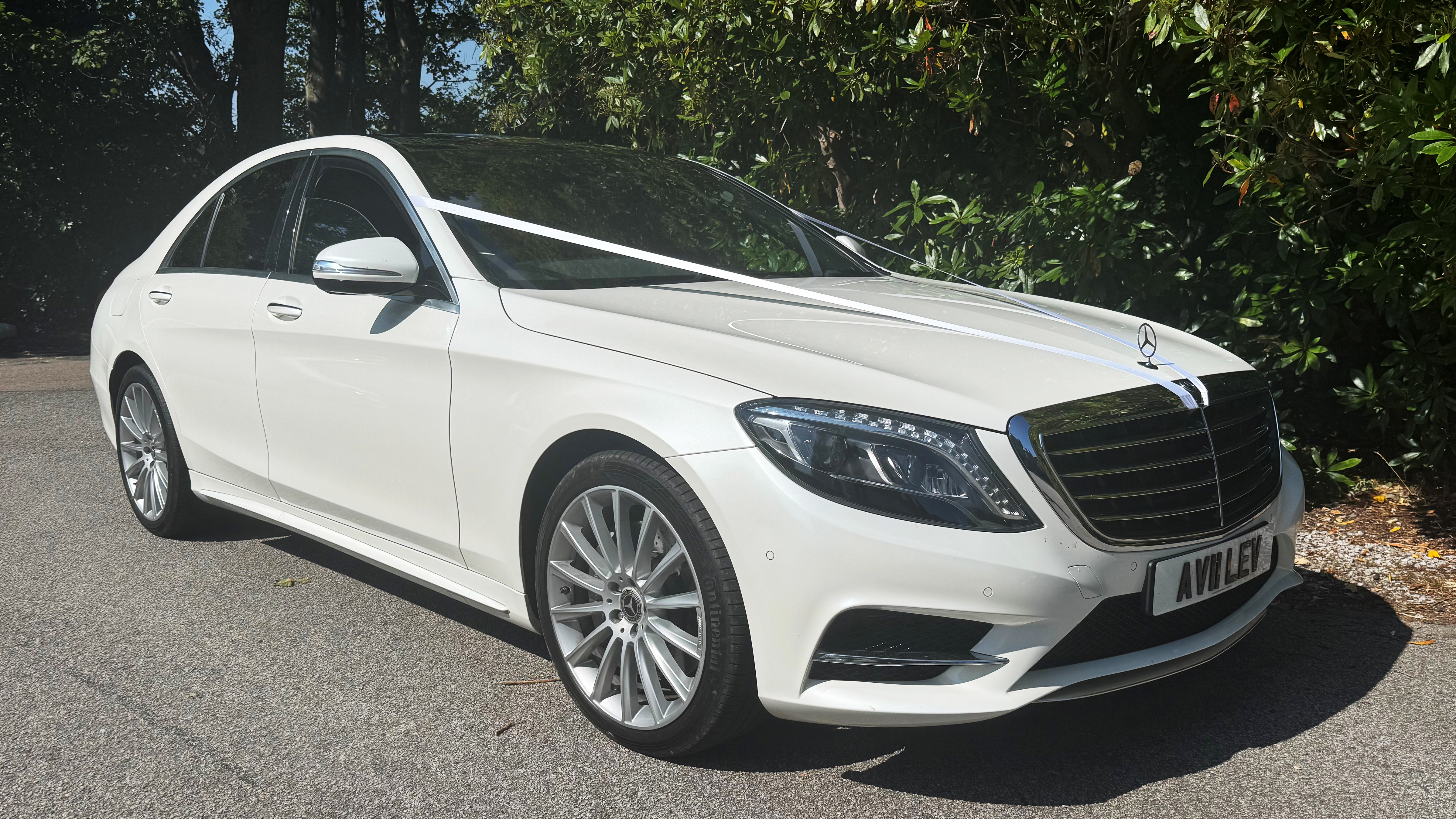 Right angled front side view of a White Mercedes dressed with wedding ribbons