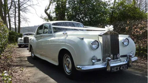 Side profile of 1959 Rolls-Royce Silver Cloud in Old English White parked on garden driveway with trees