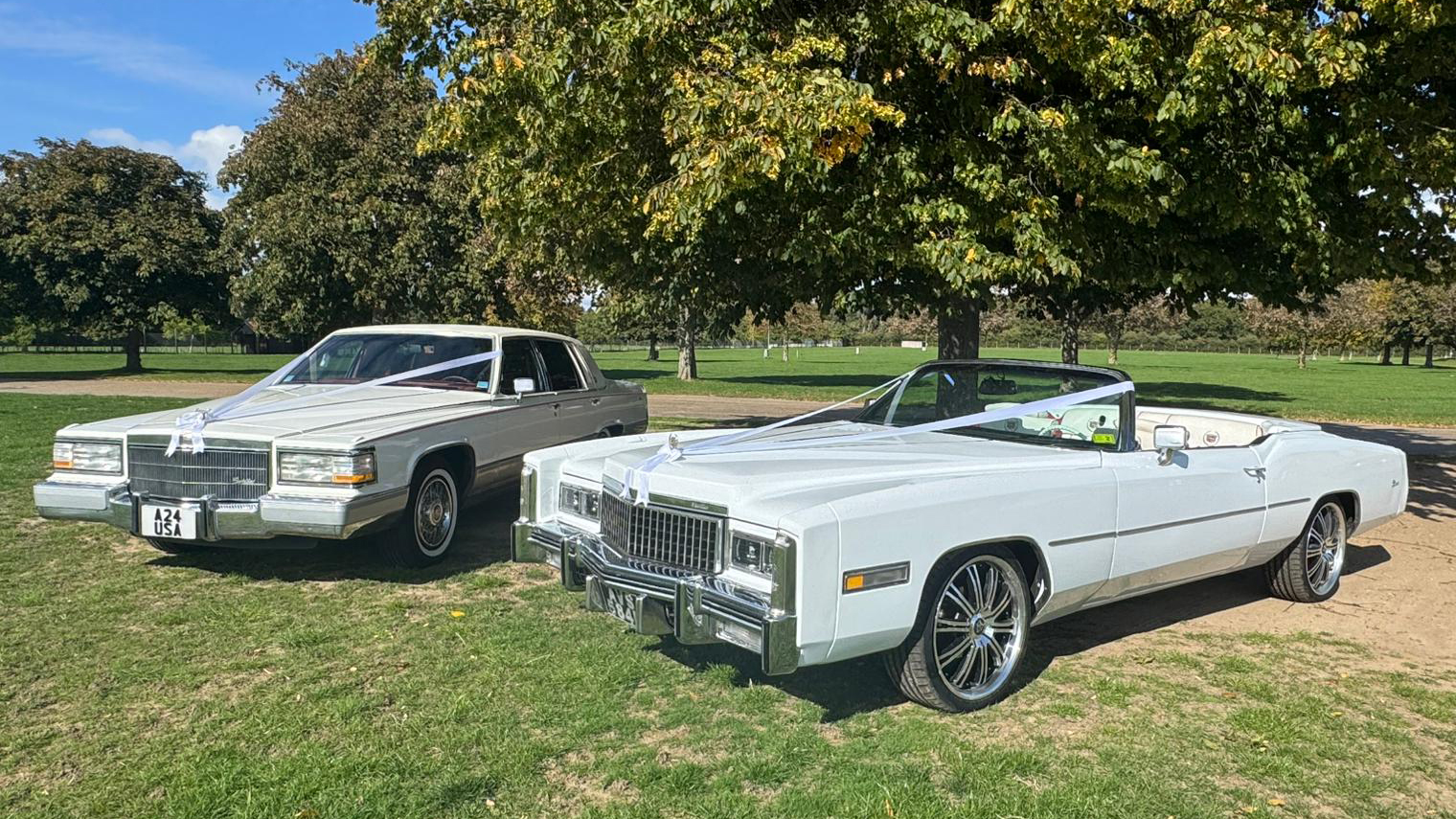 Two white classic Cadillac parked next to each others on a green lawn.
