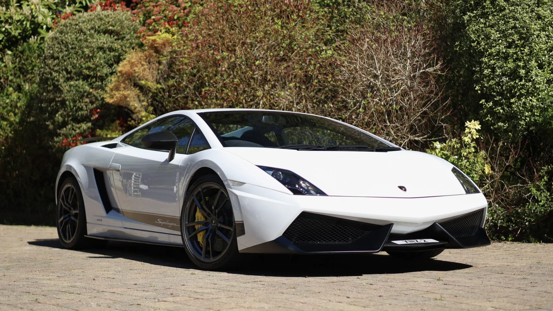 Front view White Lamborhghini