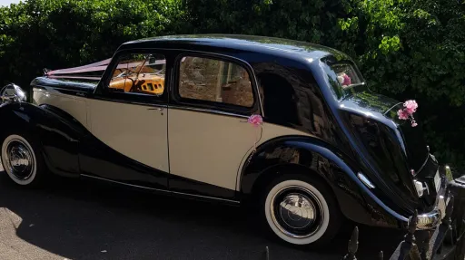 Rear side view of Austin Sheerline vintage wedding car showing flowing bodywork and chrome bumper.