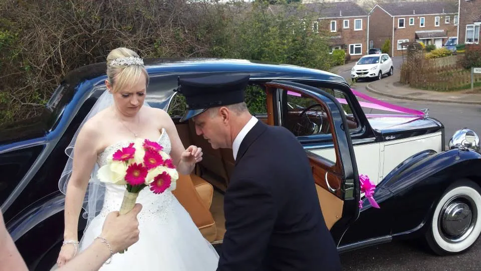 Wedding chauffeur helping Bride out of black and Old English White Austin Sheerline wedding car.