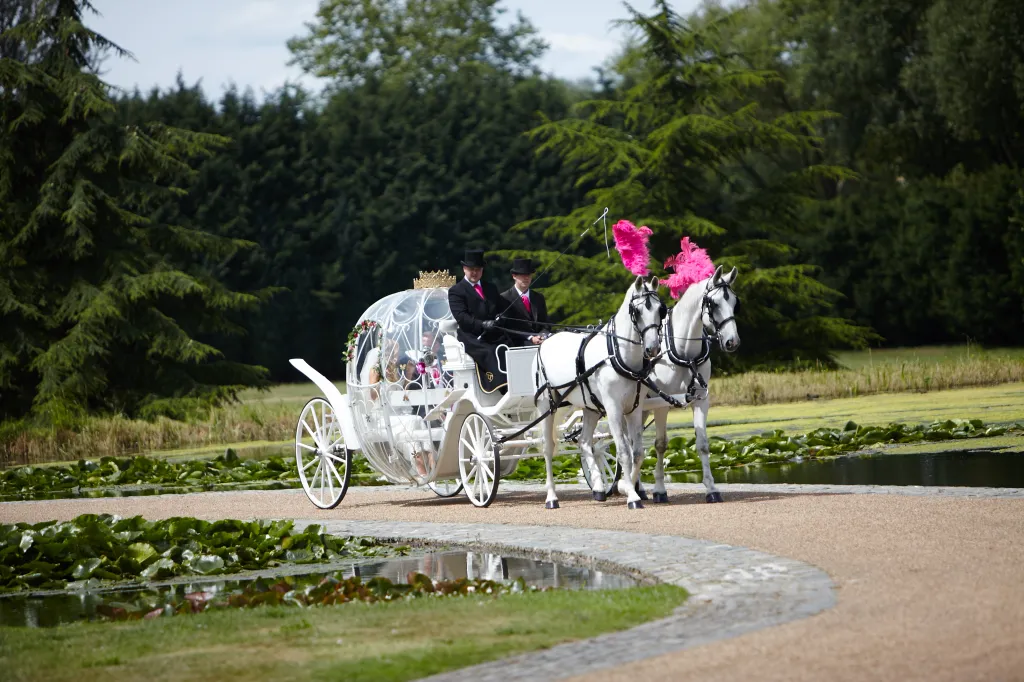 Cinderella style Glass Carriage and White Horses with pink feather on top of the horses