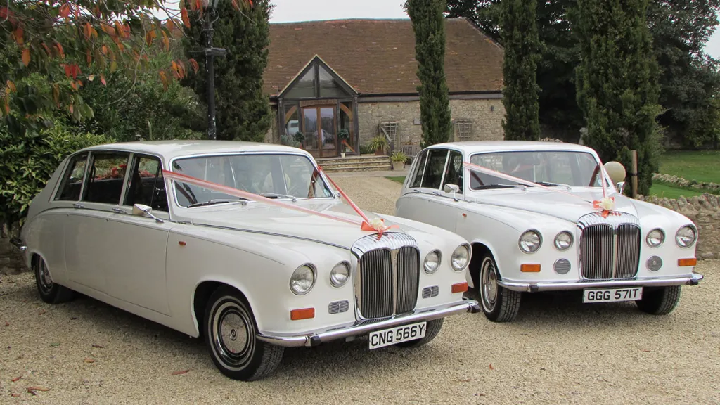 Two Classic Daimler Limousines decorated with orange ribbons across front bonnet. 