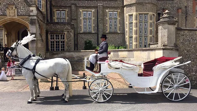 White horses with a fully opened carriage