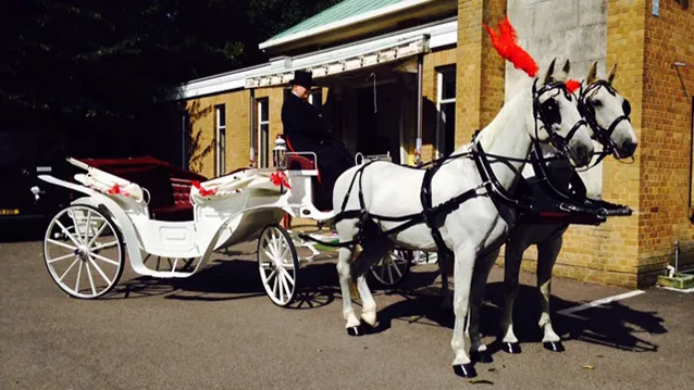 white vis-a-vis- carriage with two white horses and a coachman