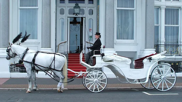 Two white Horses with a white vis-a-vis carriage and a coachlady