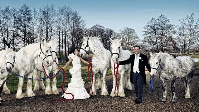 Bride and Groom with six white horses