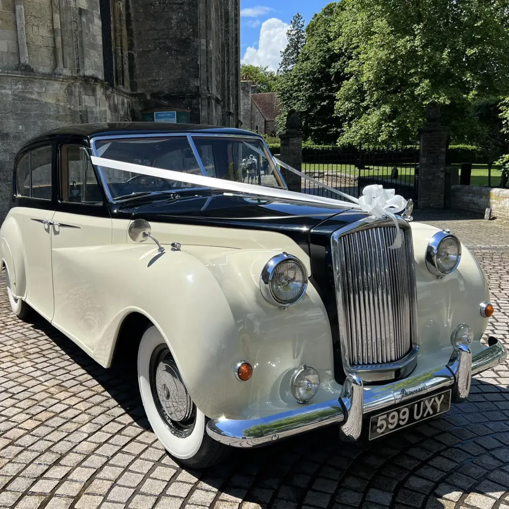 Black Austin Princess wedding car decorated with traditional white ribbons and bow