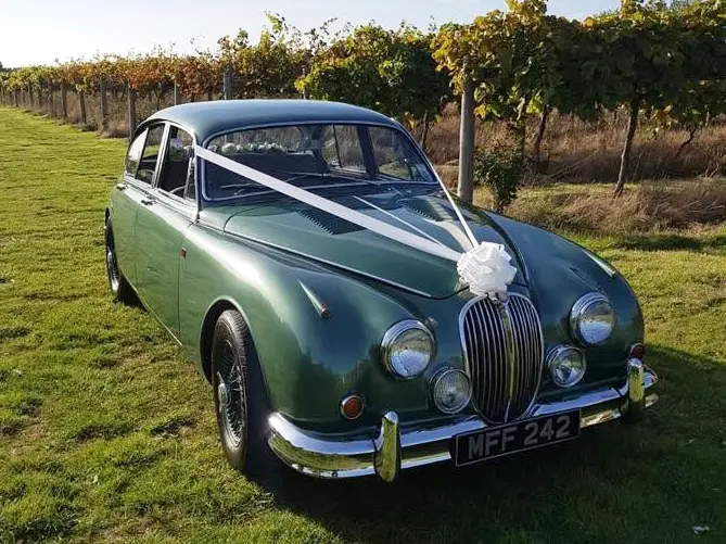 Green classic Jaguar MK2 with a white ribbon beside a vineyard in autumn