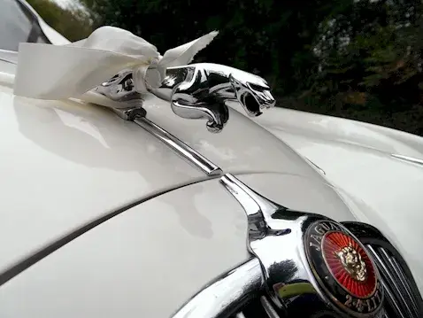Chrome Jaguar leaper mascot tied with an ivory ribbon on the bonnet of a white MK2