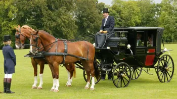 Horses and Glass Landau Coach