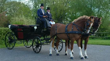 Horses and Glass Landau Coach