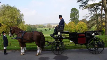 Horses and Glass Landau Coach