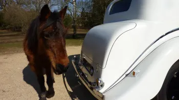 Rolls-Royce Phantom III Limousine
