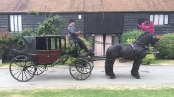 Horse Drawn Carriage Selection