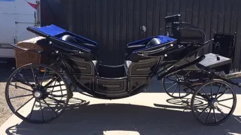 Horse Drawn Carriage Selection