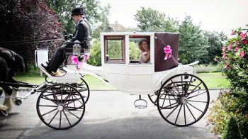 Horse Drawn Carriage Selection