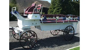 Horse Drawn Carriage Selection