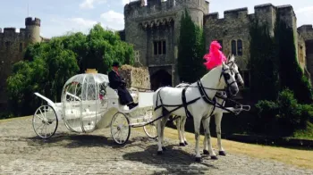 Horse Drawn Cinderella Glass Carriage