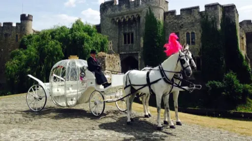 Horse Drawn Cinderella Glass Carriage