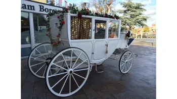 Horse Drawn Carriage Selection