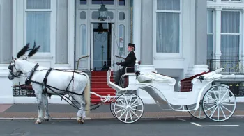 Horse Drawn Carriage Selection