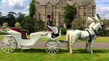 Horse Drawn Carriage Selection