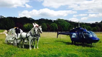 Horse Drawn Carriage Selection