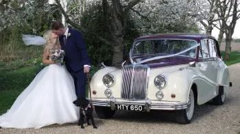 Armstrong-Siddeley Sapphire 346