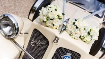 Beauford Convertible