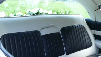 Cadillac Fleetwood Series 60 Special V8