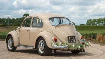 rear view of classic Beetle
