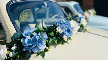 Fiat 500 Convertible