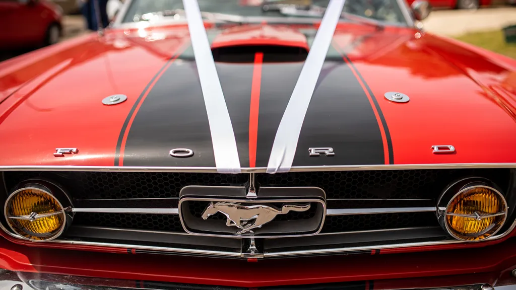 Front view of Ford Mustang grill showing the Mustang logo and white ribbons.