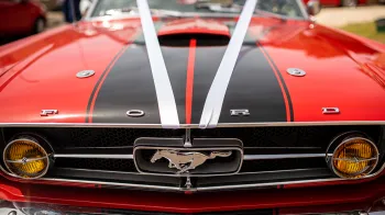 Front view of Ford Mustang grill showing the Mustang logo and white ribbons.
