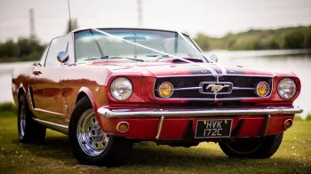 Full front view of Ford Mustang Convertible with white ribbons across its bonnet