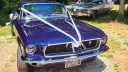 Ford Mustang Coupe close up view of white ribbons and bows on its front bonnet.