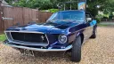 Purple blue Ford Mustang Coupe front view without wedding decoration parked on a gravel path