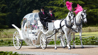 Horse Drawn Cinderella Glass Carriage wedding car for hire in Gravesend, Kent